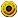 icon_item_coin16.png