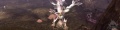 Thumbnail for version as of 15:59, 1 May 2023